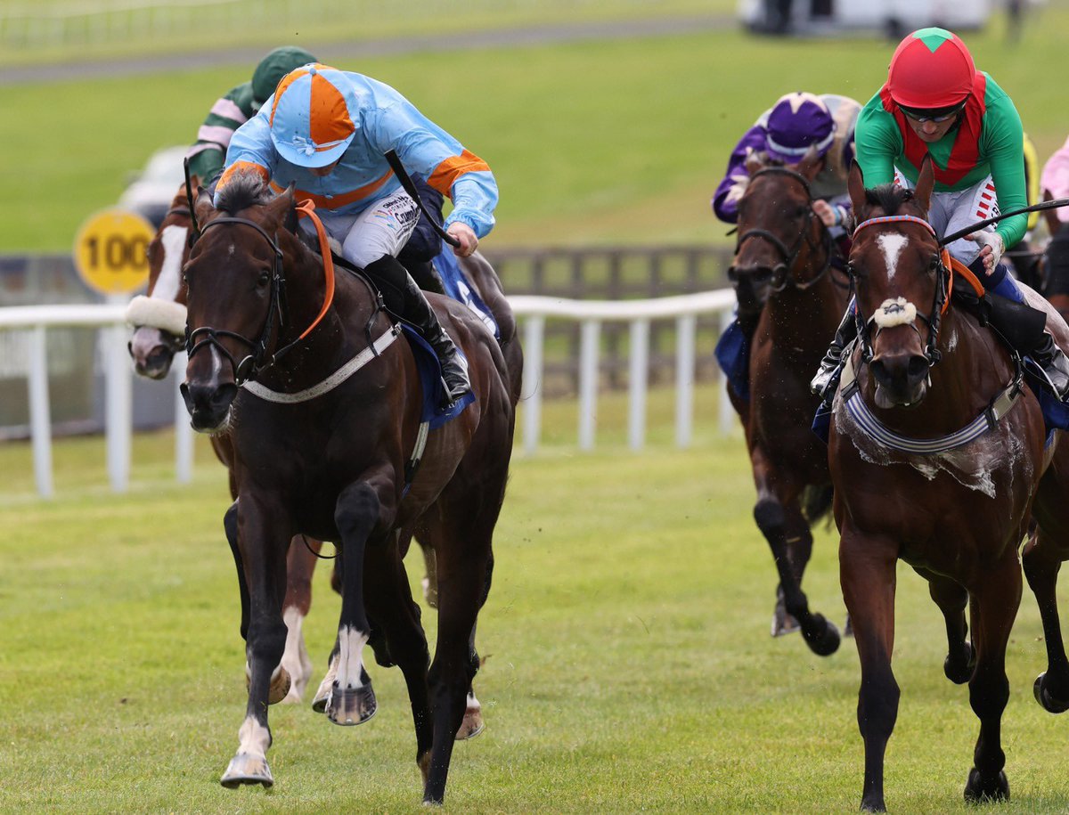 Diego Dias Racing (@diegodiasracing) on Twitter photo Great run from Mansa musa!!! Happy with the result today at <a href="/curraghrace/">The Curragh Racecourse</a> Round tower G3. 
Well done everyone at home great team work ๐๐๐๐
Also <a href="/starbloodstock/">Star Bloodstock</a> @Perf_Genetics again delivering a nice horse๐๐๐ <a href="/TeamValor/">Team Valor</a> Great run from Mansa musa!!! Happy with the result today at <a href="/curraghrace/">The Curragh Racecourse</a> Round tower G3. 
Well done everyone at home great team work ๐๐๐๐
Also <a href="/starbloodstock/">Star Bloodstock</a> @Perf_Genetics again delivering a nice horse๐๐๐ <a href="/TeamValor/">Team Valor</a>