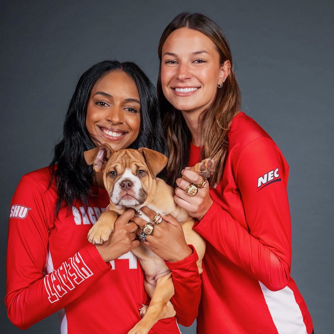 sacredheartuniv's tweet photo. A very special #NationalDogDay to Peaches, @shuwomensvb biggest cheerleader and to all of our #SHUPets!

#WeAreSHU https://t.co/tEUVMzYr8E