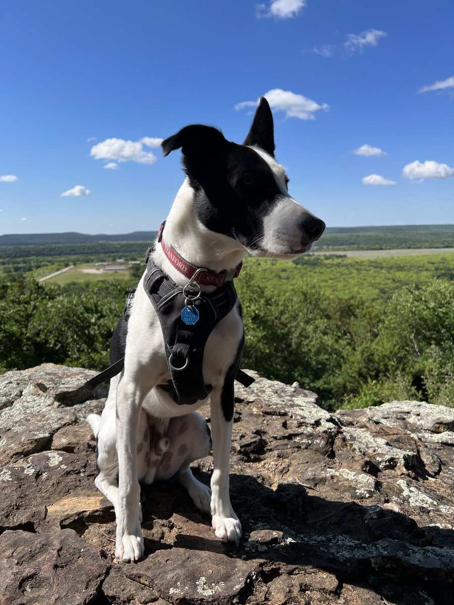 Albert Koong, MD PhD tweet media