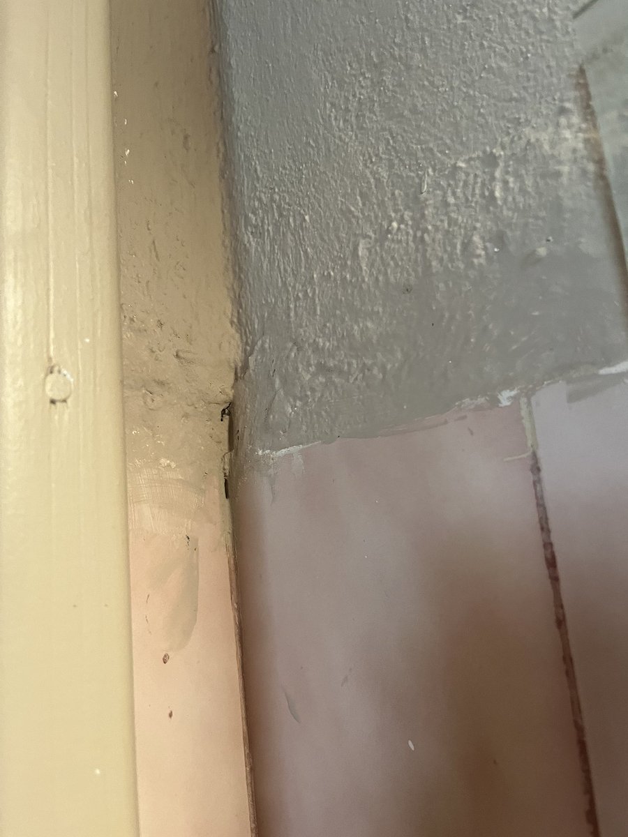 Extraordinary Chaos tweet media