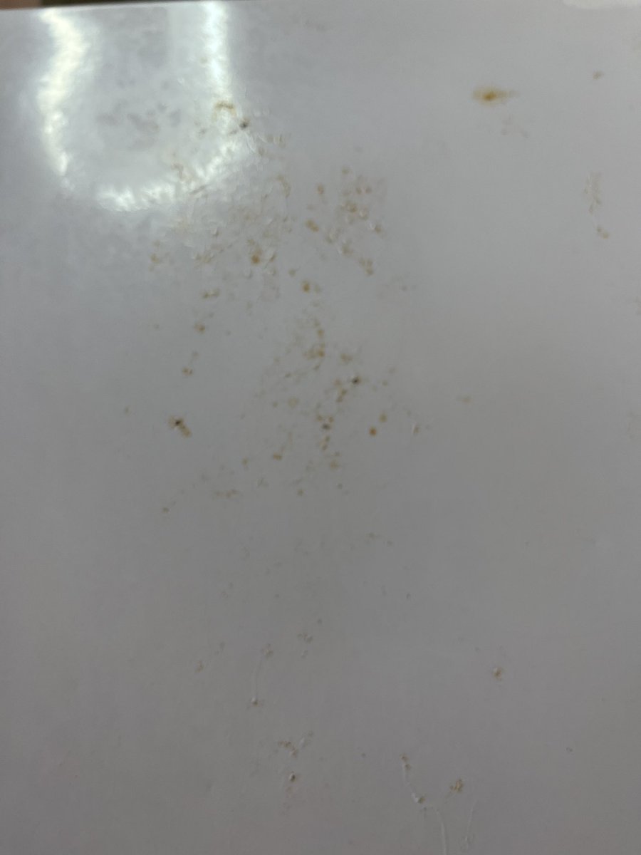 Extraordinary Chaos tweet media