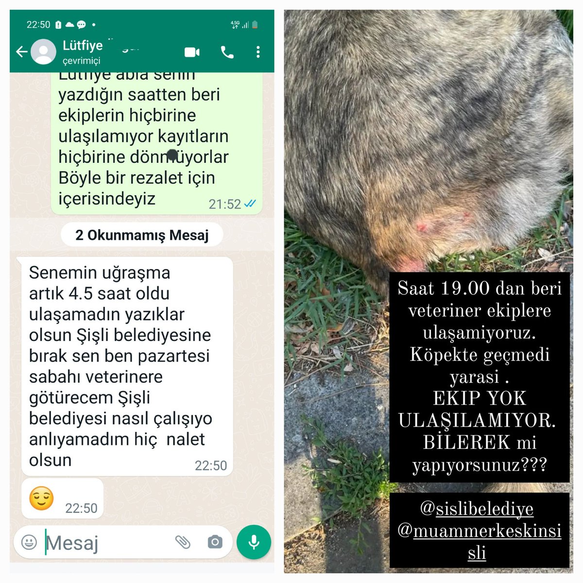 Saatlerdir kayıt açmamıza ragmen dönüş 15 dakika dakika önce oldu. hayvan zaten yerinde değil. özele kaldıracağız. Şişli Belediyesi veterinerlik gönüllünün gözünde sıfırlanıyor <a href="/muammerkeskin75/">Muammer Keskin</a> <a href="/sislibelediyesi/">Şişli Belediyesi</a> <a href="/ahmetaliyagci/">AHMET ALi YAĞCI</a> <a href="/TCTarim/">T.C. Tarım ve Orman Bakanlığı</a> <a href="/YHKgrevli/">YHKgörevlileri</a>
<a href="/sislibelediyesi/">Şişli Belediyesi</a> <a href="/tesvikiyemuhtar/">Teşvikiye Muhtarlığı</a>