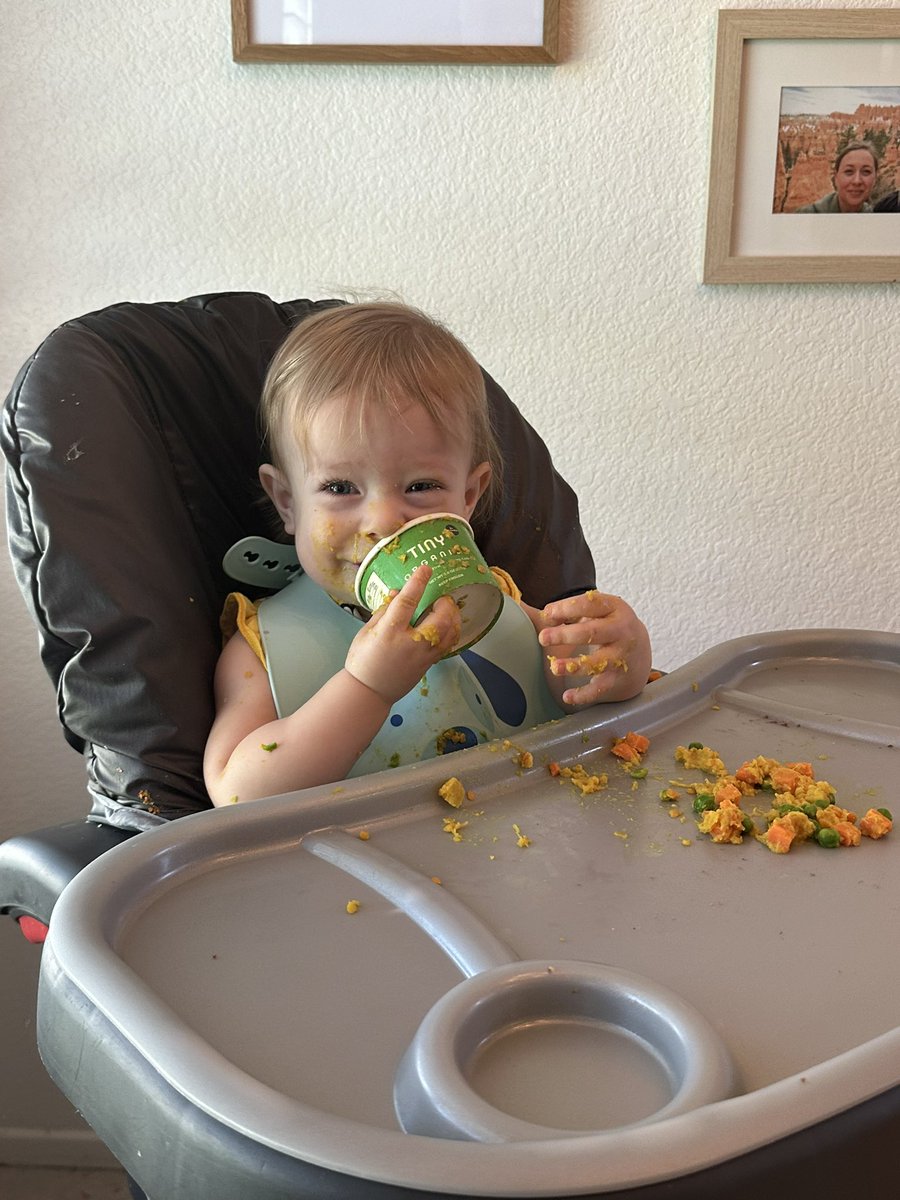 Steffanie Peevers tweet media