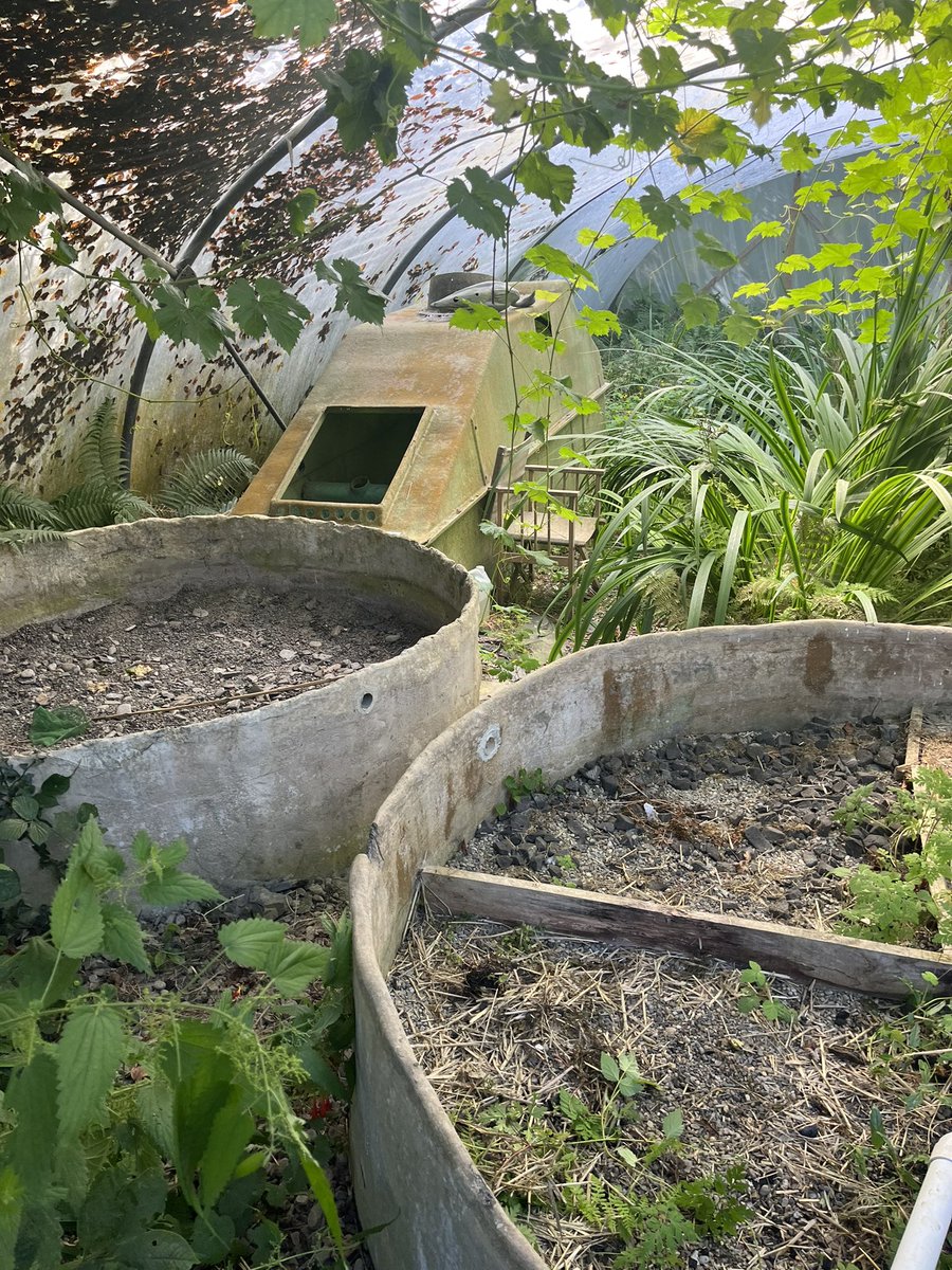 annafrancisart's tweet photo. So much to think about @centre_alt_tech with @CIVIC_SQUARE and @TheCentricLab for the Ecological Health in Neighbourhoods programme - talking through what setting up an Urban Health Council would mean for neighbourhoods like ours. #environmentaljustice #alternativesystems https://t.co/ZyVARJsMhn