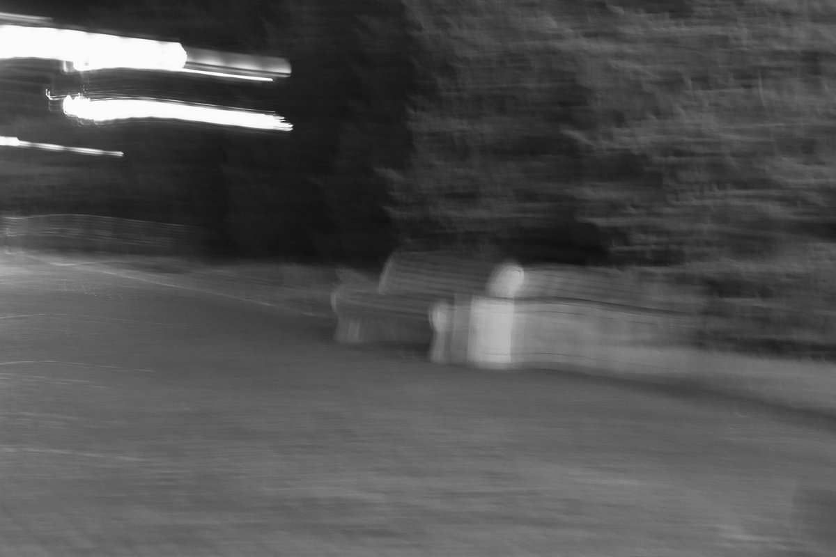 Elya51's tweet photo. Some photos that I took, just wanted to share ✨ https://t.co/RlK7L7PJsa
