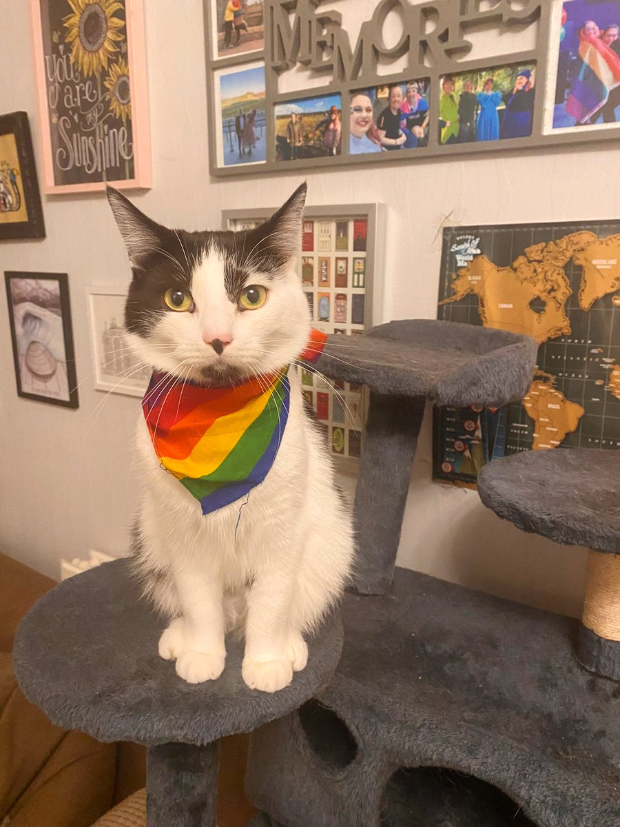 MollyEllenH's tweet image. Figero says Happy #ManchesterPride everyone 🌈✨