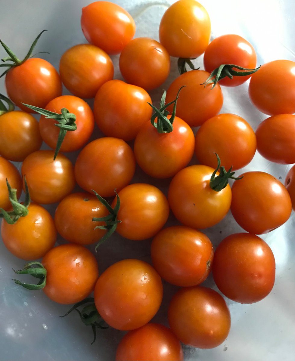 Alan McLeod / A Good Beer Blog (I/ me/ Al/ buddy) tweet media