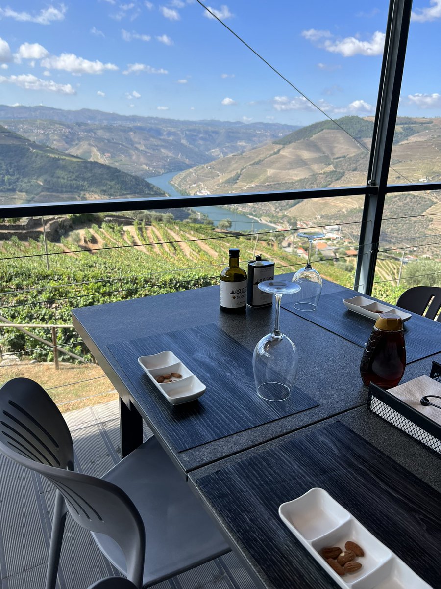 🍷 in the Douro Valley
