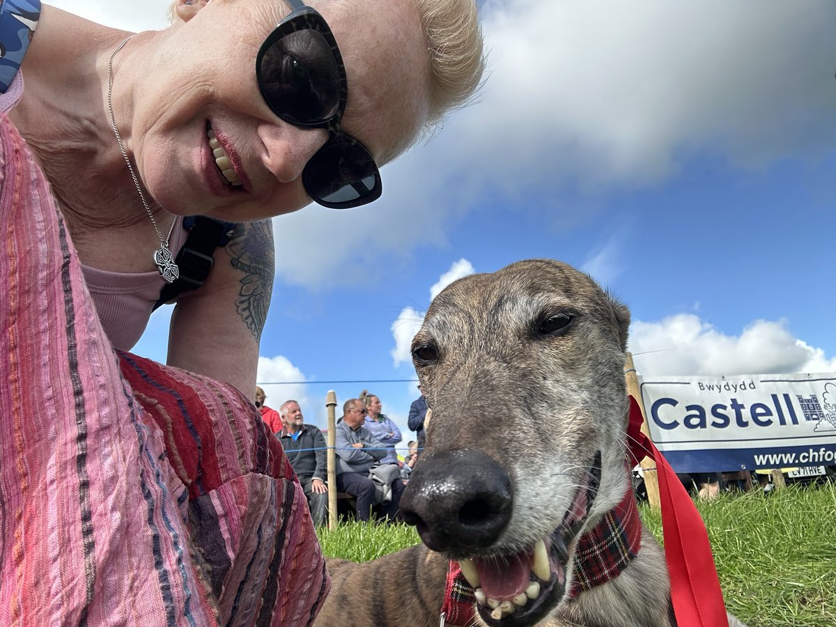 Our gorgeous boy won 1st place golden oldie at the Vintage Working Day, Camrose today. We love you Kipper ❤️