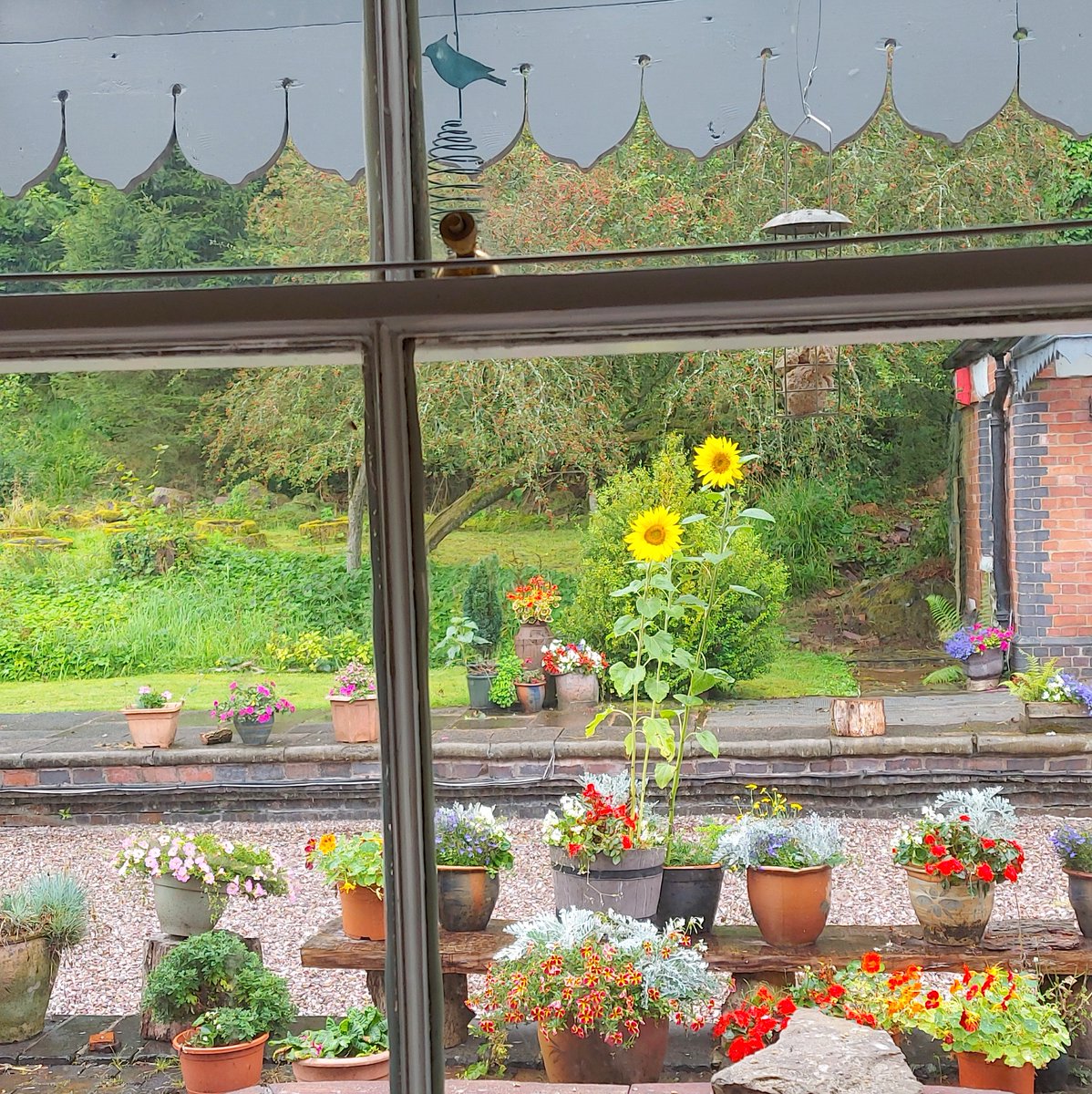 CoalportStation's tweet photo. Happy Bank Holiday Sunday! 😊
It wouldn’t be a British bank holiday weekend without a little rain, would it? 🤣🌧️☔️ 🌂🌈🌤️

May you take pleasure in the moment &amp; good things in life! 🙌🏻🙏🤗

#HappyBankHoliday #coalportstation #coalport #shropshire #thegoodthingsinlife #CarpeDiem https://t.co/CIYKlUETah