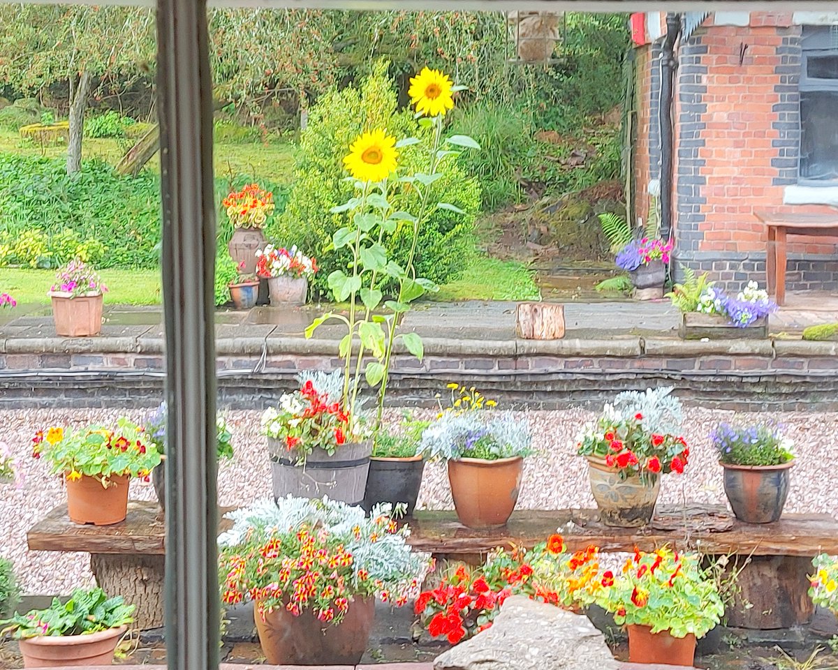 CoalportStation's tweet photo. Happy Bank Holiday Sunday! 😊
It wouldn’t be a British bank holiday weekend without a little rain, would it? 🤣🌧️☔️ 🌂🌈🌤️

May you take pleasure in the moment &amp; good things in life! 🙌🏻🙏🤗

#HappyBankHoliday #coalportstation #coalport #shropshire #thegoodthingsinlife #CarpeDiem https://t.co/CIYKlUETah