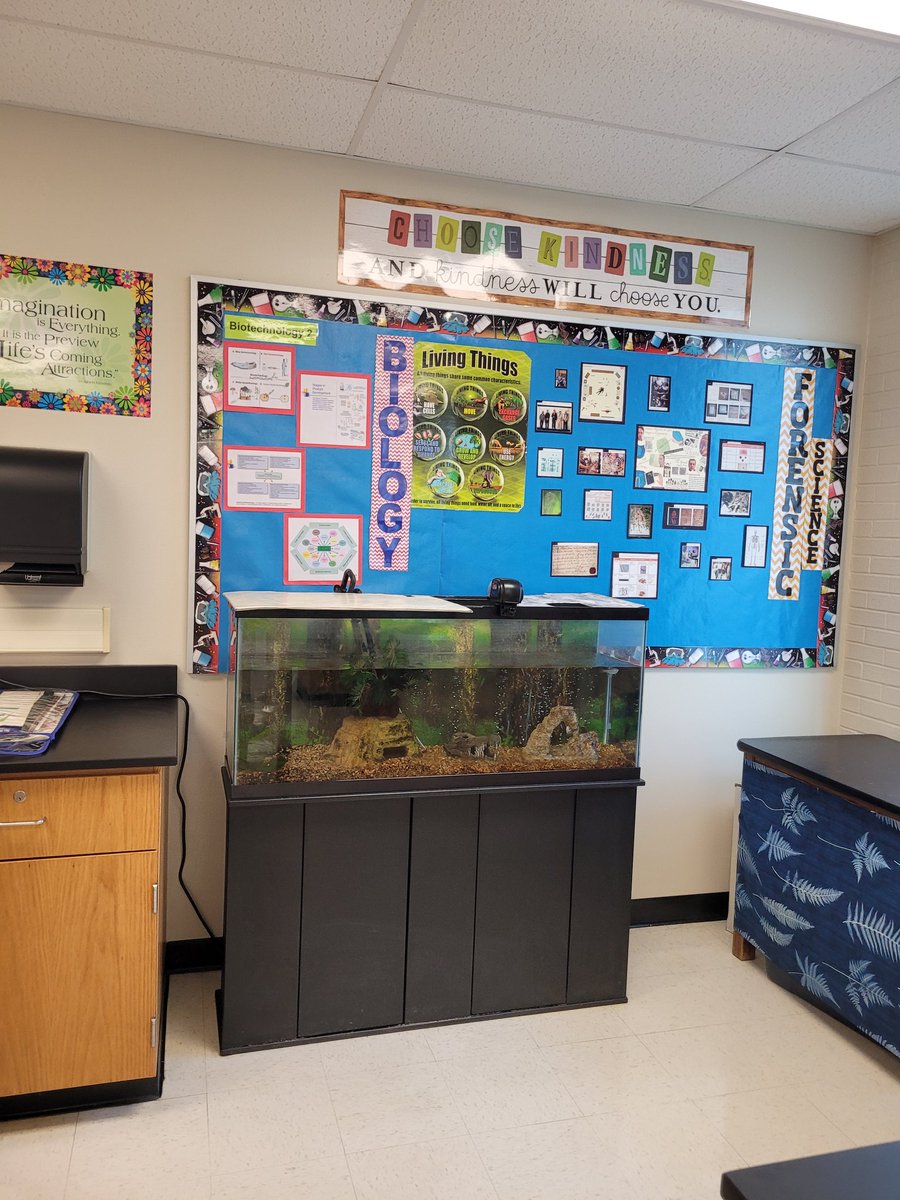 AnaYanguezSmith's tweet photo. Ready to start my 12th year. I am looking forward to meeting my new Mustangs and welcoming some Mustangs that  I taught as freshmen in biology to forensic science and biotechnology 2 @NISD @NISDJay @NISDJaySEA https://t.co/bnNOV2TcLG