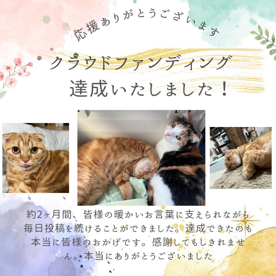 1ym112's tweet photo. 8月26日(土)

経過観察31日目

🐈クラウドファンディング🐈
達成率1️⃣0️⃣9️⃣%！！
🔥無事達成しました🔥

〜目標〜
1,000,000円
〜ご支援合計〜
1,091,000円

沢山の方からご支援をいただき、
無事に達成となりました！
皆様、本当に有難うございます。
感謝しても仕切れません。
また、達成してなおご支援いただき
100%を超えて終了する事が
出来ました。
今後のふう君の寛解と診断されるまでの
検査代、治療費として大切に活用させて
いただきます。

投稿頻度は毎日とはいきませんが、
今後もアップして行きますので、
あたたかく見守っていただけますと
幸いです。
本当に有難う御座いました。