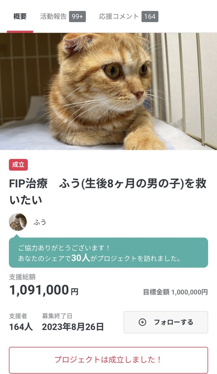 1ym112's tweet photo. 8月26日(土)

経過観察31日目

🐈クラウドファンディング🐈
達成率1️⃣0️⃣9️⃣%！！
🔥無事達成しました🔥

〜目標〜
1,000,000円
〜ご支援合計〜
1,091,000円

沢山の方からご支援をいただき、
無事に達成となりました！
皆様、本当に有難うございます。
感謝しても仕切れません。
また、達成してなおご支援いただき
100%を超えて終了する事が
出来ました。
今後のふう君の寛解と診断されるまでの
検査代、治療費として大切に活用させて
いただきます。

投稿頻度は毎日とはいきませんが、
今後もアップして行きますので、
あたたかく見守っていただけますと
幸いです。
本当に有難う御座いました。