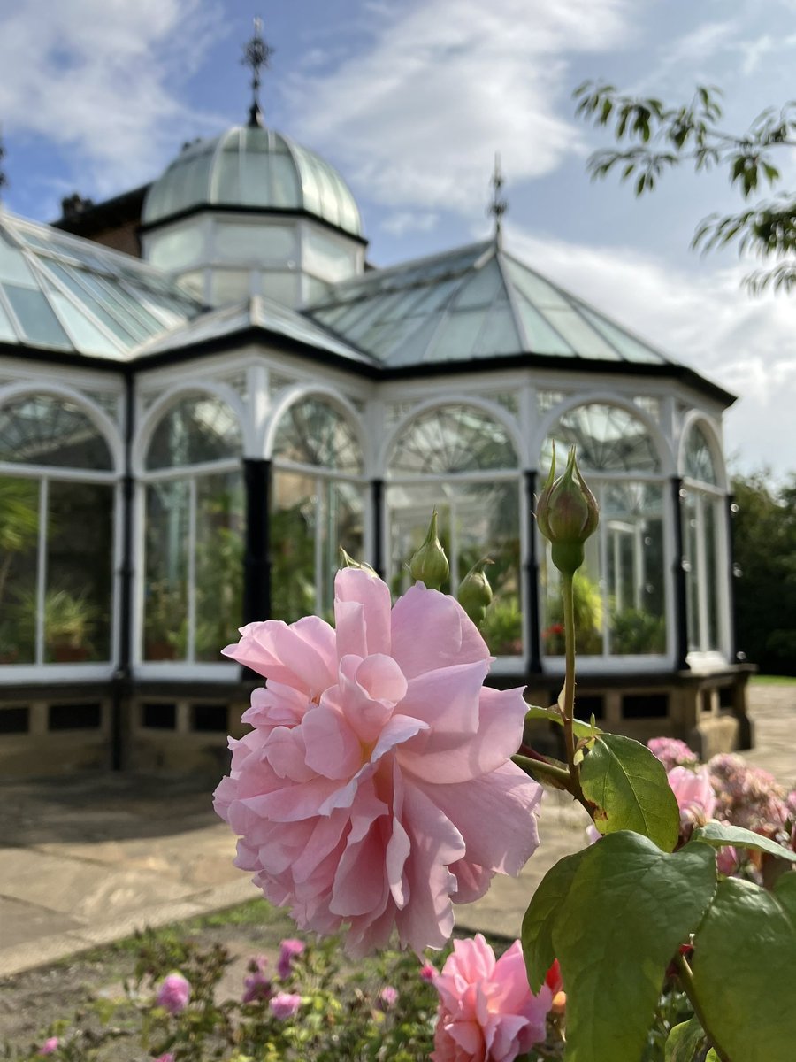 We’re open all weekend &amp; bank holiday Monday, 10am-4pm. There’s lots to see &amp; do with extra special party fun from the <a href="/PartyBoppers/">Party Boppers</a> tomorrow &amp; party-themed arts &amp; crafts on Monday!🥳🎨

Find out more about our Big Summer Party:
🔗bit.ly/44gCF28

#LookingRosy