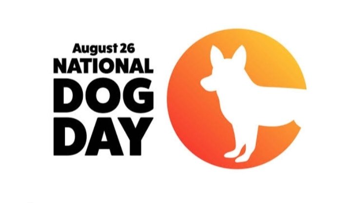RCPSindh's tweet photo. 🌟 National Dog Day is celebrated on August 26th every year in the United States. A day to celebrate all breeds of dogs and to recognize the irreplaceable roles they play in our lives. #RabiesControlProgramSindh #RCPS #UnitedAgainstRabies #EliminateRabies https://t.co/dpT8cH5S42