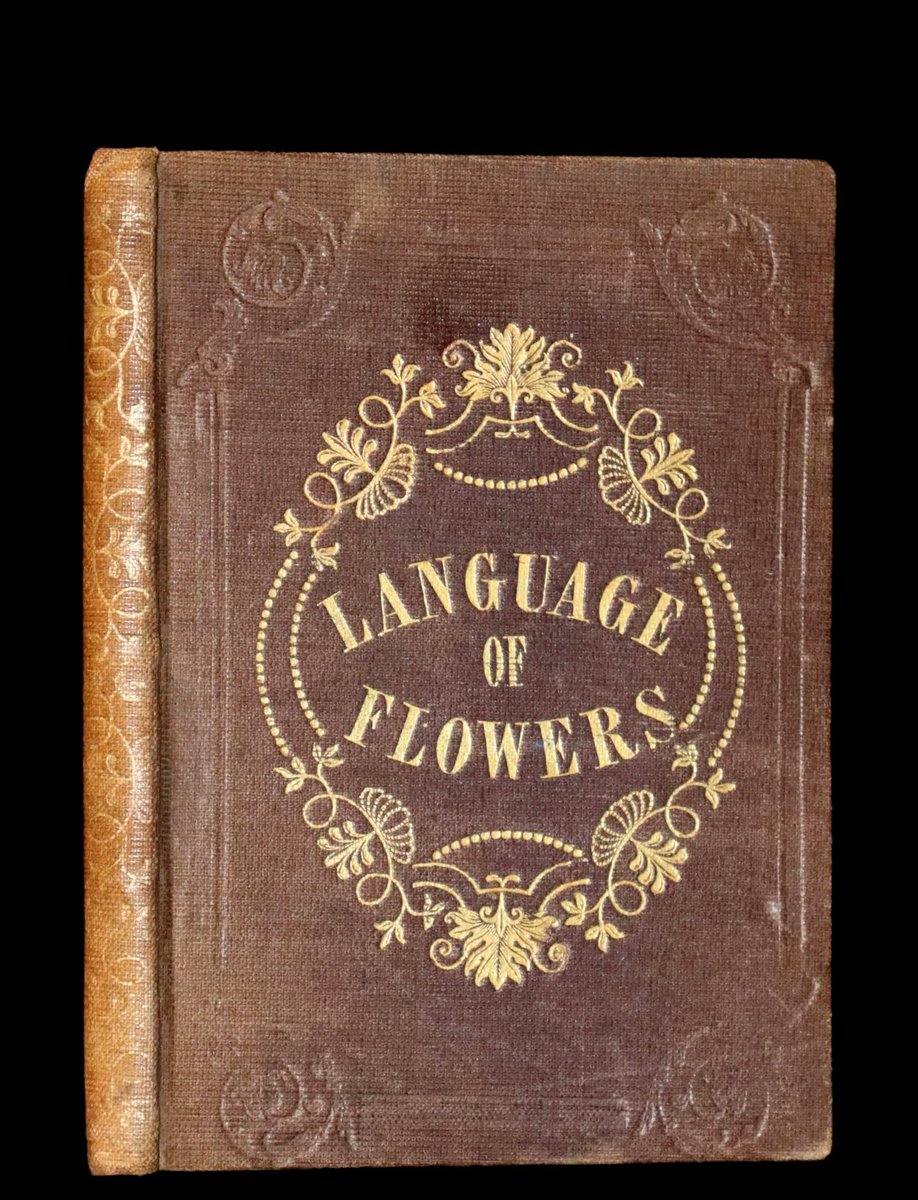 mflibra's tweet photo. 1846 Scarce small Floriography Book ~ The Language of Flowers. First Edition.
More info:
https://t.co/HV9Ft3luam
#BookWithASoul #FirstEdition #SmallBook #Floriography #LanguageOfFlowers #illustrated #bookworm #library #bookstore #booknerd #rarebooks #bibliophile https://t.co/HzfYNDMMAz