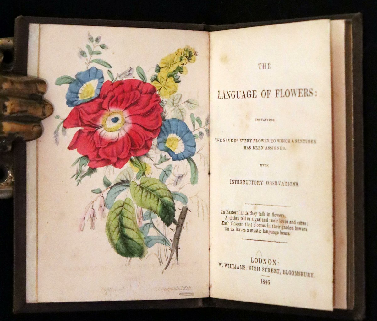 mflibra's tweet photo. 1846 Scarce small Floriography Book ~ The Language of Flowers. First Edition.
More info:
https://t.co/HV9Ft3luam
#BookWithASoul #FirstEdition #SmallBook #Floriography #LanguageOfFlowers #illustrated #bookworm #library #bookstore #booknerd #rarebooks #bibliophile https://t.co/rEFyAYAJ5z