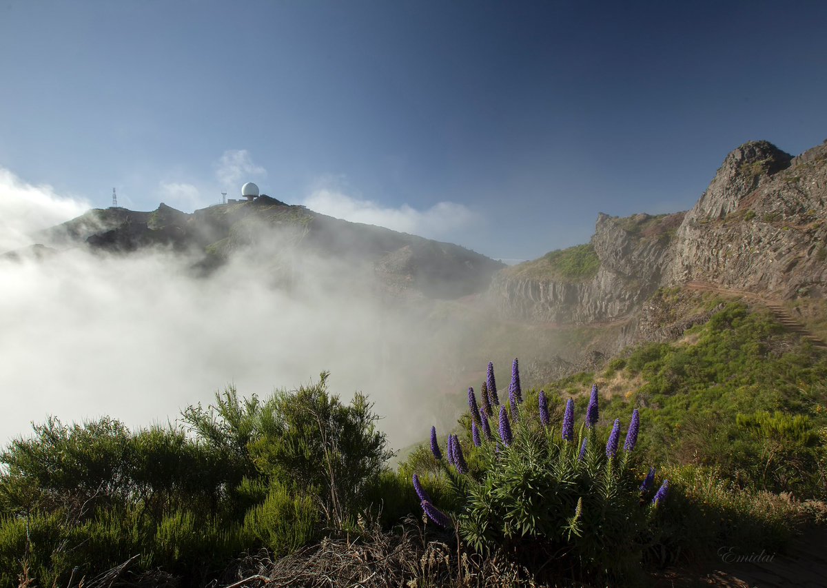 Emidaiphoto's tweet photo. Pico do Arieiro ⛰️📷 #madeira #paisaje #naturephotography #senderismo #excursion #picodoarieiro #vacation #fotografia #canonphotography 👨‍👩‍👦‍👦⛰️📷 https://t.co/k6AqacQOgz