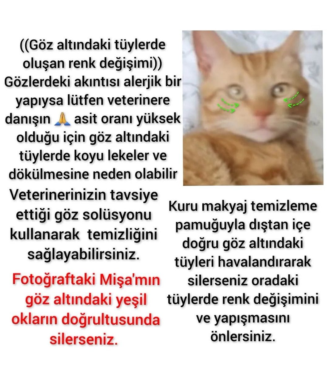 glrshbs's tweet photo. Lütfen WhatsApp'tan yazın 0542 489 20 89 https://t.co/YbU8yGHWzY