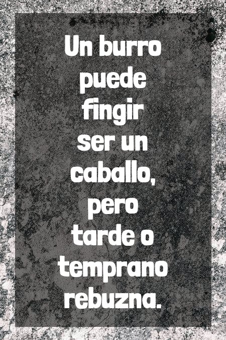EscueladeVida21's tweet photo. https://t.co/pJSw4FxSx1