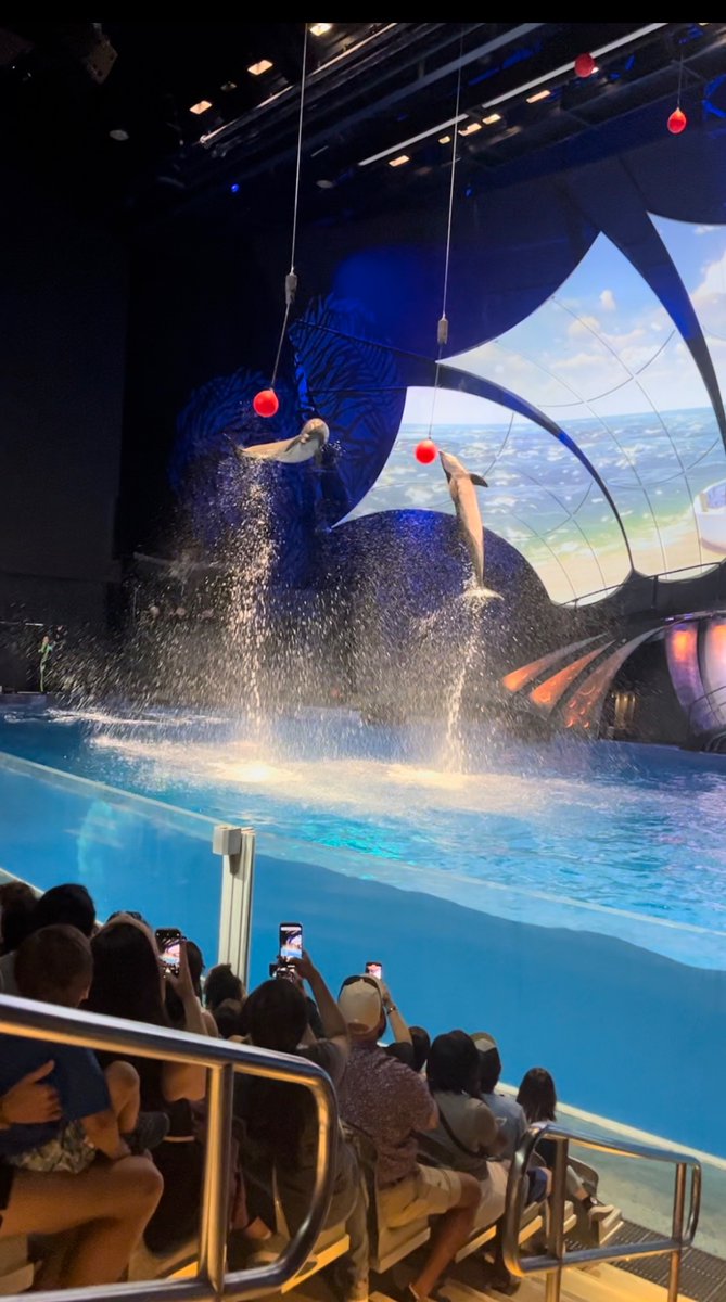 msowenscorner's tweet photo. @GeorgiaAquarium ‘s Educator Open House was nothing short of amazing and informative! I truly plan to return with my scholars! Of course me being the dolphin I am, I HAD to see the breathtaking dolphin presentation! 💙🐬 https://t.co/6FaivVjddV