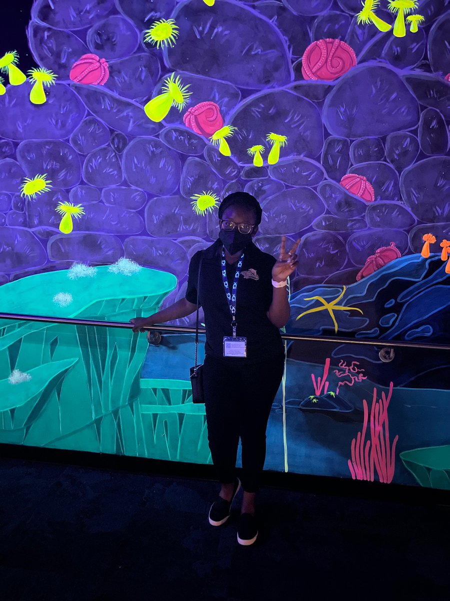 msowenscorner's tweet photo. @GeorgiaAquarium ‘s Educator Open House was nothing short of amazing and informative! I truly plan to return with my scholars! Of course me being the dolphin I am, I HAD to see the breathtaking dolphin presentation! 💙🐬 https://t.co/6FaivVjddV