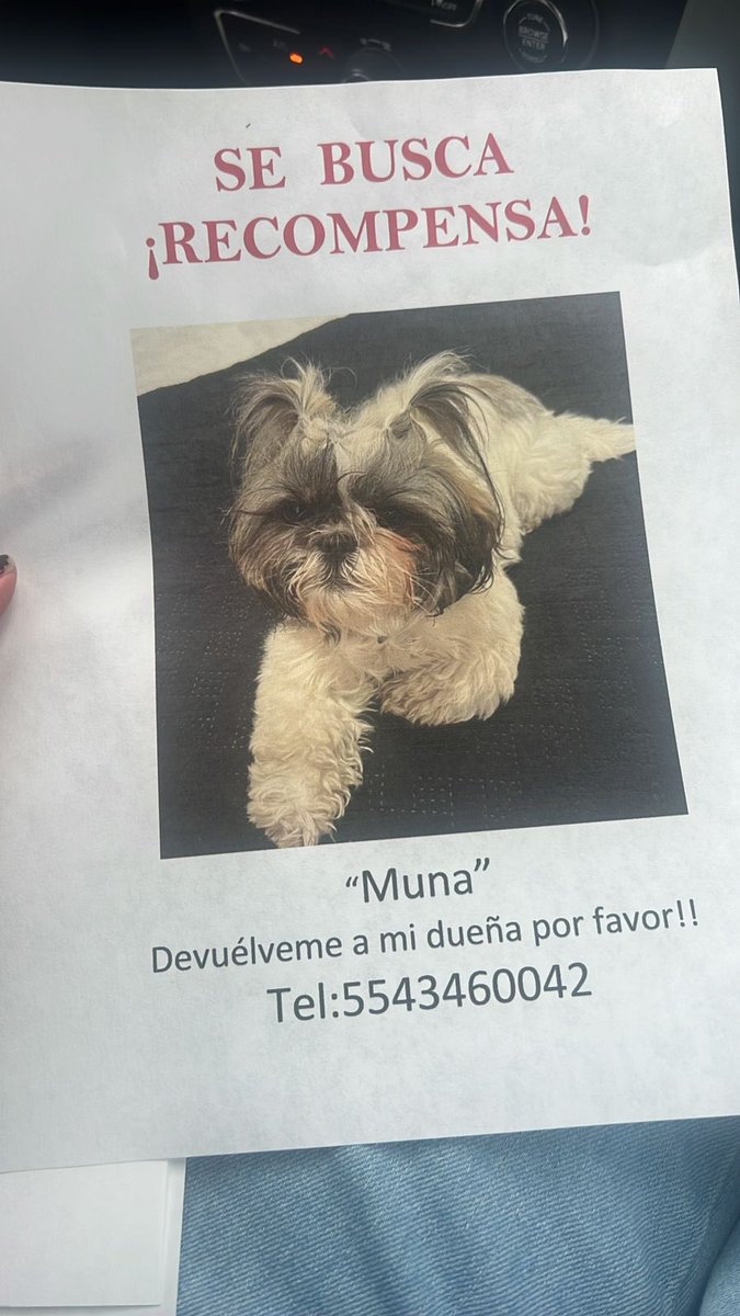MissConesa's tweet photo. Ayúdenos a encontrar a Muna. https://t.co/hGzRjU9evc