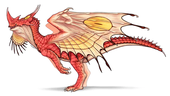 Dragons  
