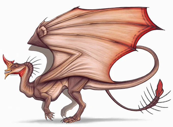 Dragons  