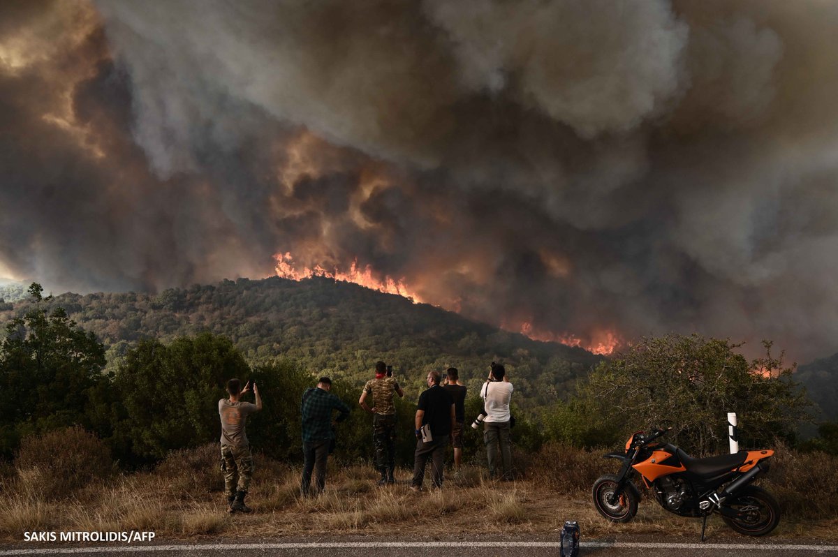 SakisMitrolidis's tweet photo. ΕΒΡΟΣ, Η καταστροφή είναι ολική, όσο και να θέλετε να την φανταστείτε δεν θα την καταλάβετε εαν δεν επισκεφτείτε το μέρος, 26 χρόνια στο ρεπορτάζ πρώτη φορά αντικρύζω τέτοια έκτασης δασική πυρκαγια. ΤΟ ΑΠΟΛΥΤΟ ΚΡΑΝΙΟΥ ΤΟΠΟΣ. https://t.co/B4Sz89KzrW