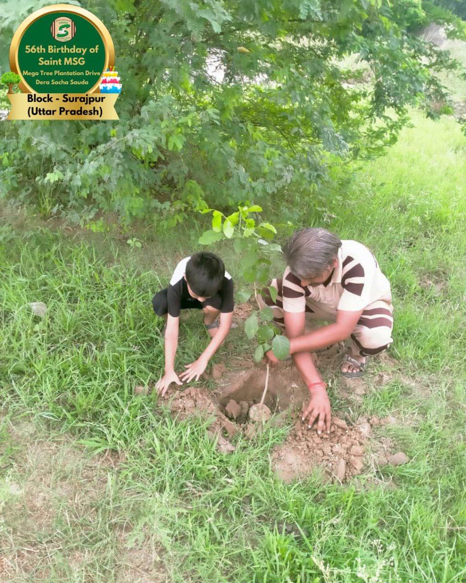 GreenSwelfares's tweet photo. Let's grow together, under the shade of love and care!! Dera Sacha Sauda volunteers celebrated Saint Dr. Gurmeet Ram Rahim Singh Ji Insan's 56th birthday ‘MSGBhandara’ with mega tree plantation drive. 🌳
#56thBirthday #SaintDrMSG #TreePlantation https://t.co/TY46Aifg8N