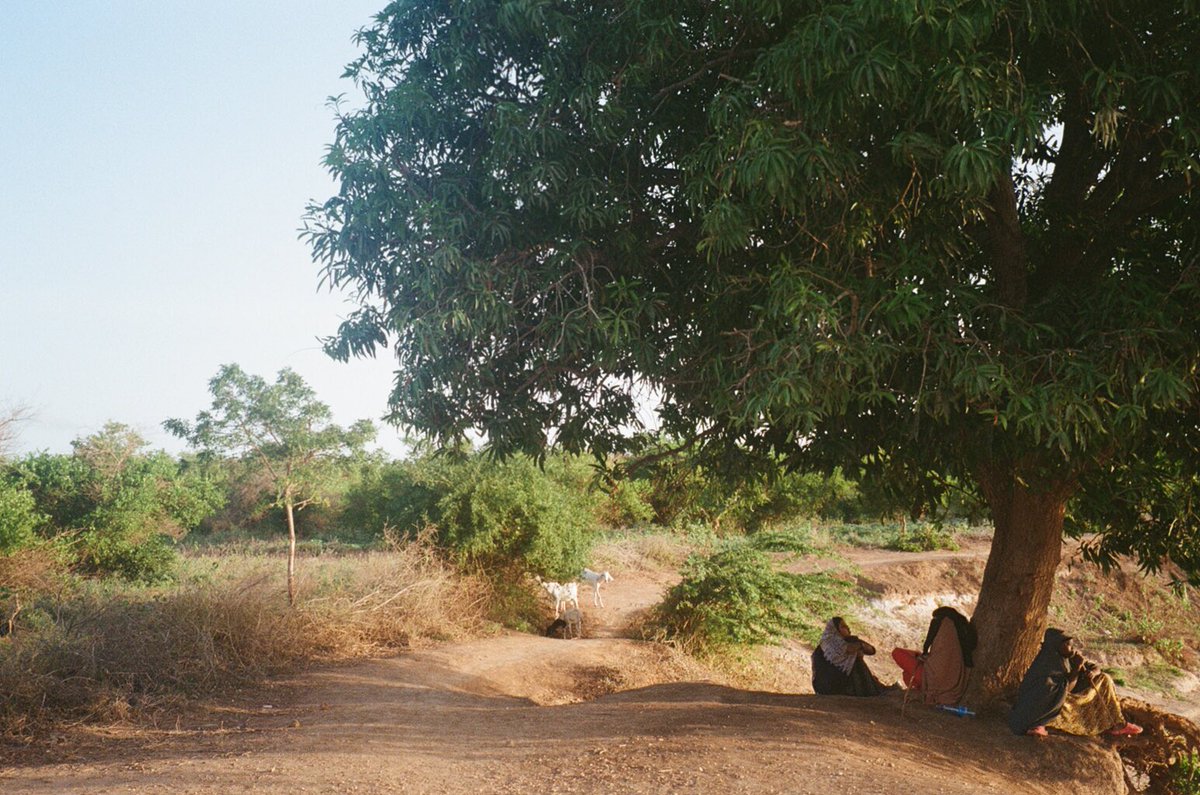 yasrofl's tweet photo. my film from somalia 🥲💙 https://t.co/iu2jOwaMRI