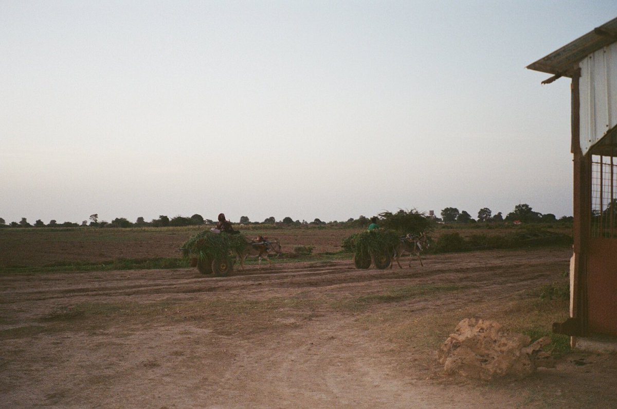 yasrofl's tweet photo. my film from somalia 🥲💙 https://t.co/iu2jOwaMRI