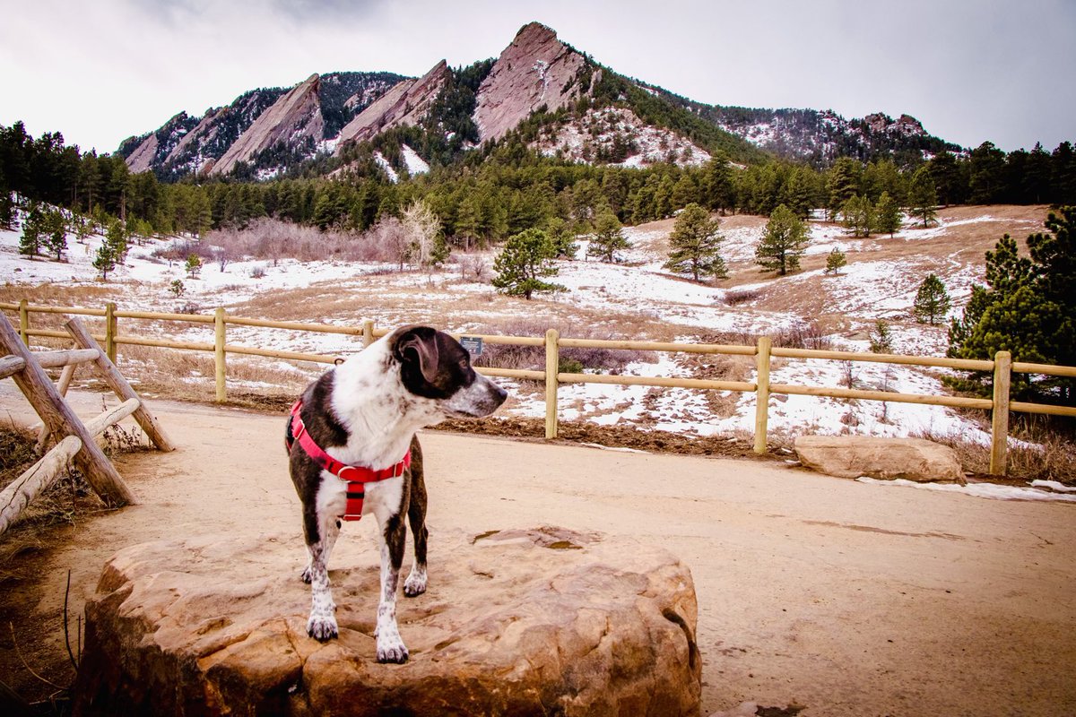 Dave Russell tweet media