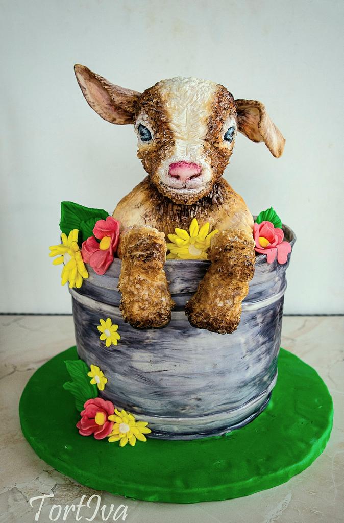 CakesDecor's tweet photo. Baby goat in a bucket by TortIva
https://t.co/z5fAAcVhIo
#birthdaycakes #cakewithgoat #goat #figure #modeling #caketopper #cakewithanimals #goatcaketopper #cakeforwomen #realisticanimalfigure #3dcake https://t.co/UxtNwwMULE