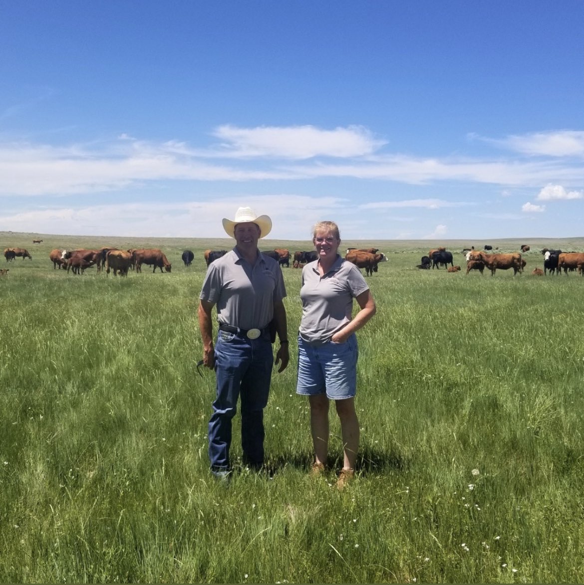 CERTalamorcd's tweet photo. FREE AGRI-LAND RESOURCE WORKSHOP in BEXAR  County Texas, 
09/26/23, 12:30 pm to 5:00 pm
🔸Pre-REGISTRATION is NOW! at https://t.co/9vpUGfoHAE_
🔸🔸San Antonio,TX, San Antonio River Authority Board Room, Topics USDA, NRCS, FSA, Urban Agriculture, Gardening in Texas, Conservation!! https://t.co/DE0gizOSua
