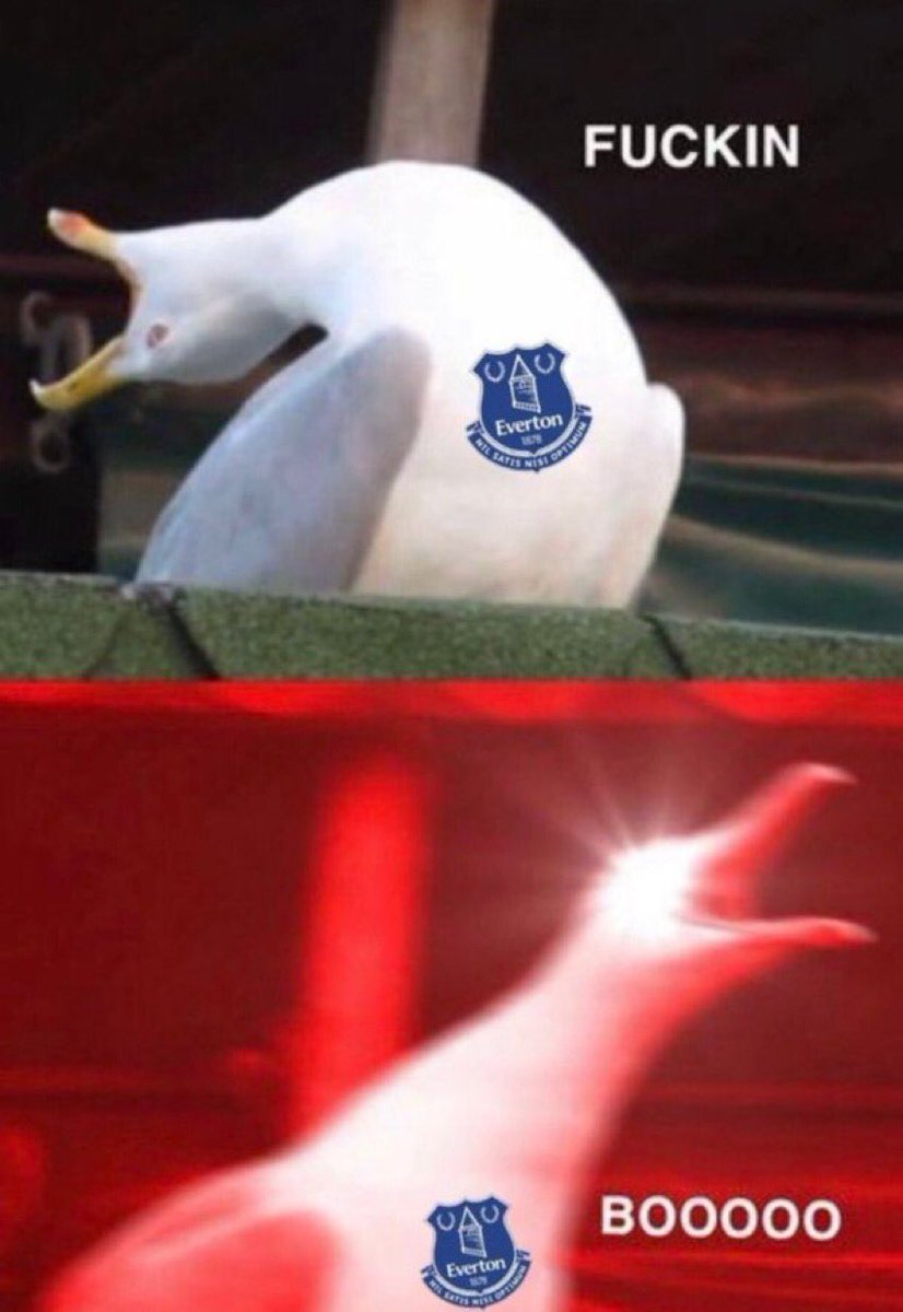 Footy Accumulators tweet media