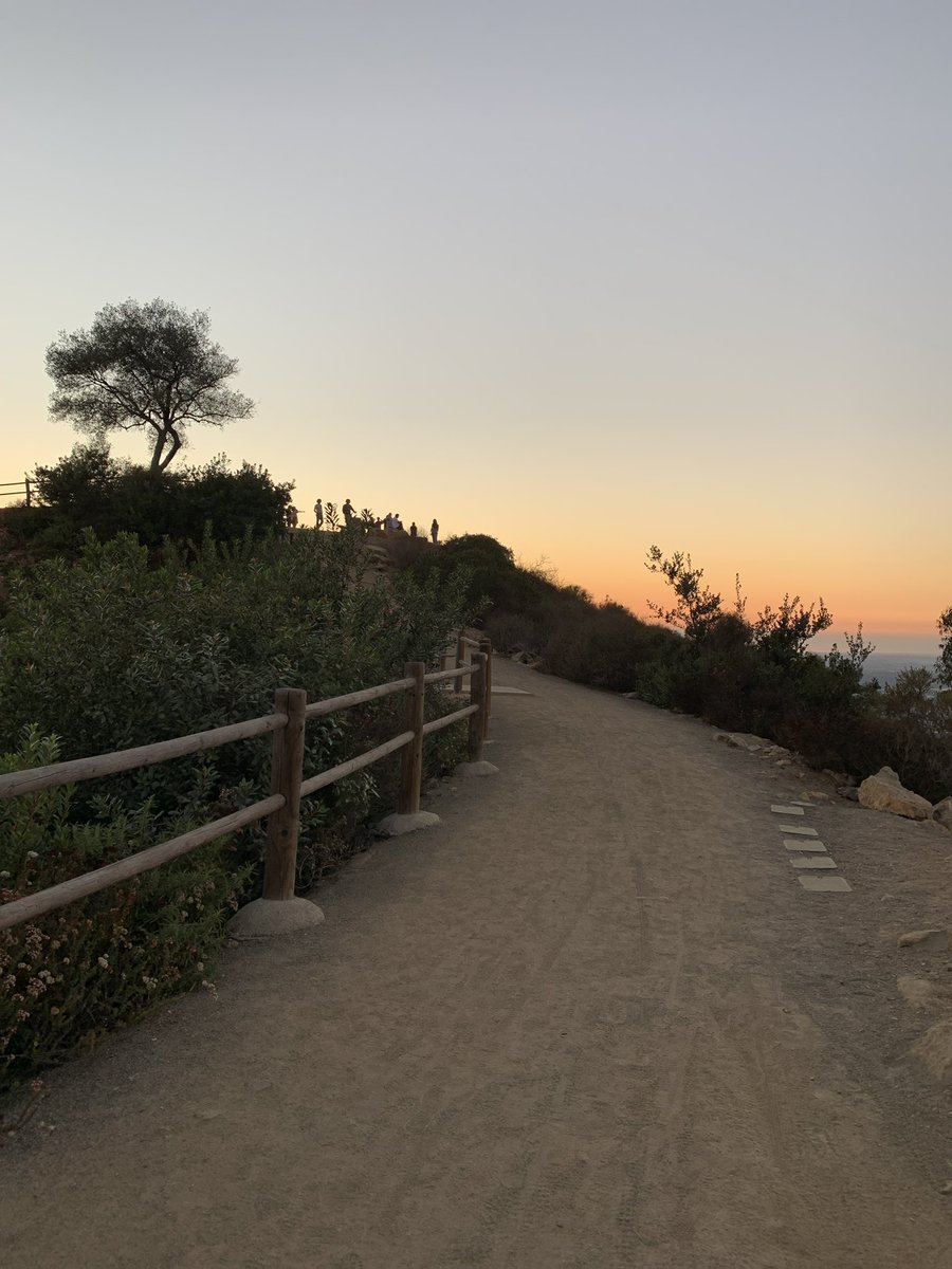 crose6584's tweet photo. @sanmarcoscity The tree on top of Double Peak Park! https://t.co/nuGVsQJ4z4