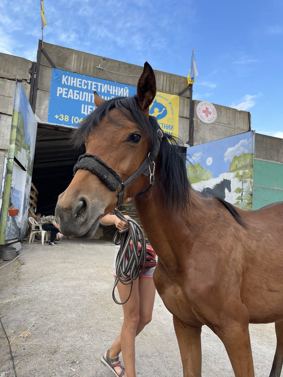 pashington_'s tweet photo. Fundraising for the hippotherapy center🐴
Friends, now there is not enough truck to deliver food and service the center! 
Missing $2000 ❗️
PayPal: litvinpavel72@gmail.com 🙏 https://t.co/Wt7VgBup20