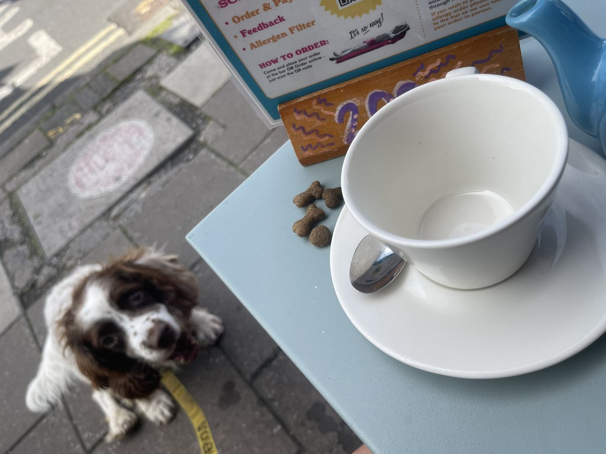 foxcrews1's tweet photo. @theLOUNGERS #tinto #gloucesterrd #bristol #dogswelcome #freetreats #oitandabout #dogsoftwitter #dogsonX #dateswiththesitter #notjust #hotairballooning #bankholidayweekend #treatforsitter #relaxed #chilled #springerspaniel
Doing something different #staycation ☕️🫖🍦🍨🍧 ☀️ 🐶 https://t.co/JN0h0PWHot