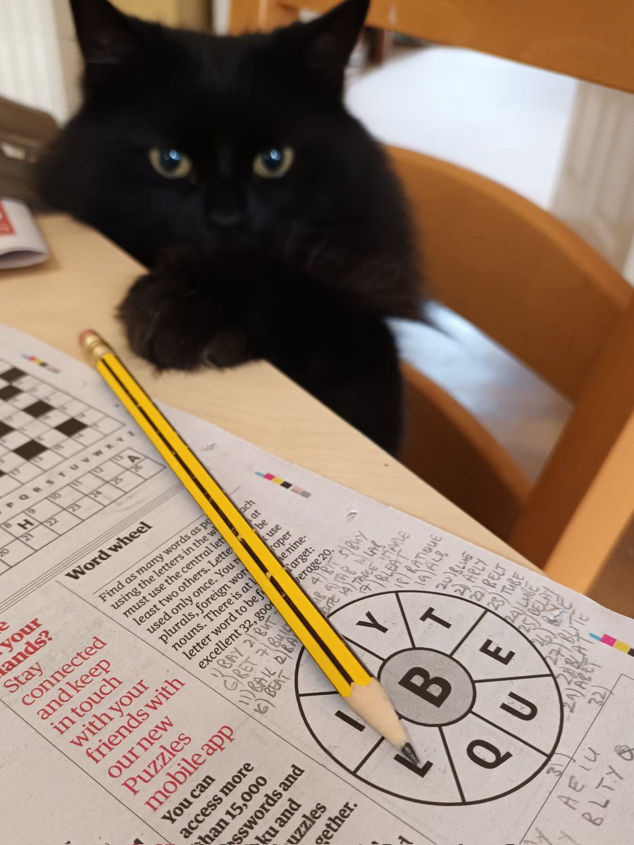 AnneTaylor100's tweet photo. Here, let me help with the nine letter word! @guardian #Caturday https://t.co/iVIgGAJMXE