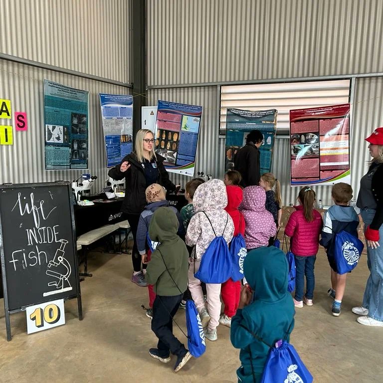 TruterMarliese's tweet photo. A lovely #PotchFishDay hosted by @NWU_WRG! Teaching our youth about the importance of #LifeBelowWater
#fish #parasites #foodwebs #pollutionprevention #lifecycles #schoolingbehaviour #sight #microscopes #realfish #fishdiet #habitat #creativescience #communityoutreach https://t.co/wQHVDhJIkH