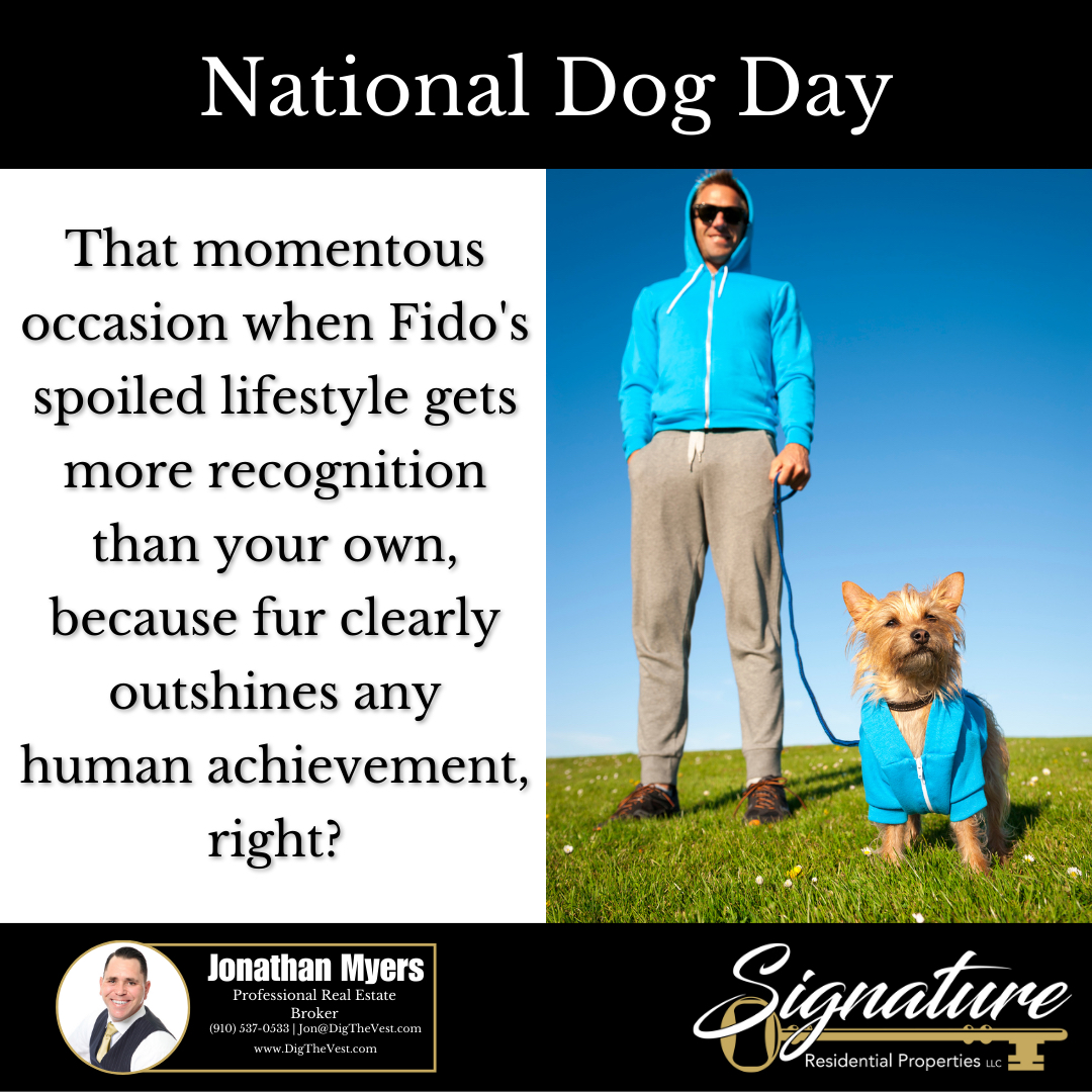 DigTheVest's tweet photo. It's National Dog Day! 🐶 A day when our furry overlords graciously allow us to shower them with even more attention and treats than usual. 🍖🦴 Because, let's be real, every day is Dog Day in their world. 😂 🐾 #NationalDogDay #dog https://t.co/2F9M7lYf4N