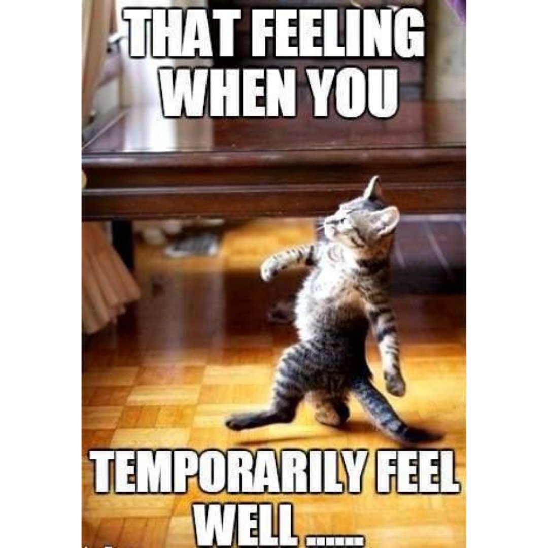 AvasunHealth's tweet photo. Do not settle for the temporary, and some days you are lucky to be doing well. Make every day a day of happiness with AVASUN! 💊💊💊

🦵 The next generation in joint care. Visit our Amazon store. 🔗  https://t.co/vVrQI1HE1T  

#jointpain #jointsupplements #fightjointpain #joi ... https://t.co/vlKR5P2rv5