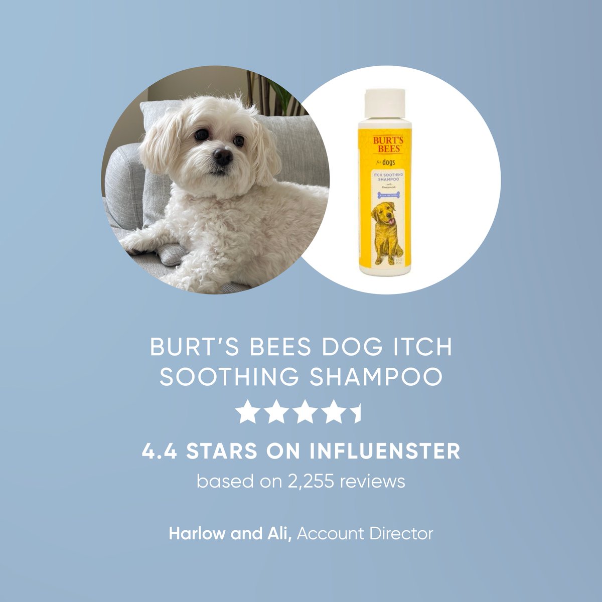 Influenster's tweet photo. And my dog…thank you to my dog! 🐶🙏🏻 Show your fur friend some appreciation this #NationalDogDay with toys, treats, and pampering thanks to some product recs from our Influenster employees! View more here: https://t.co/p63wcv8wj6

What kind of dog do you have? 🐾 https://t.co/03fuXB1O33