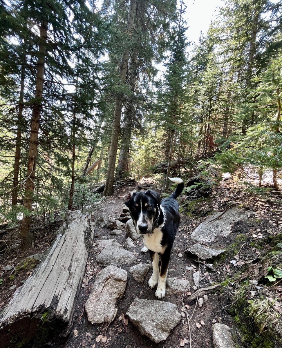 VisitBreck tweet media