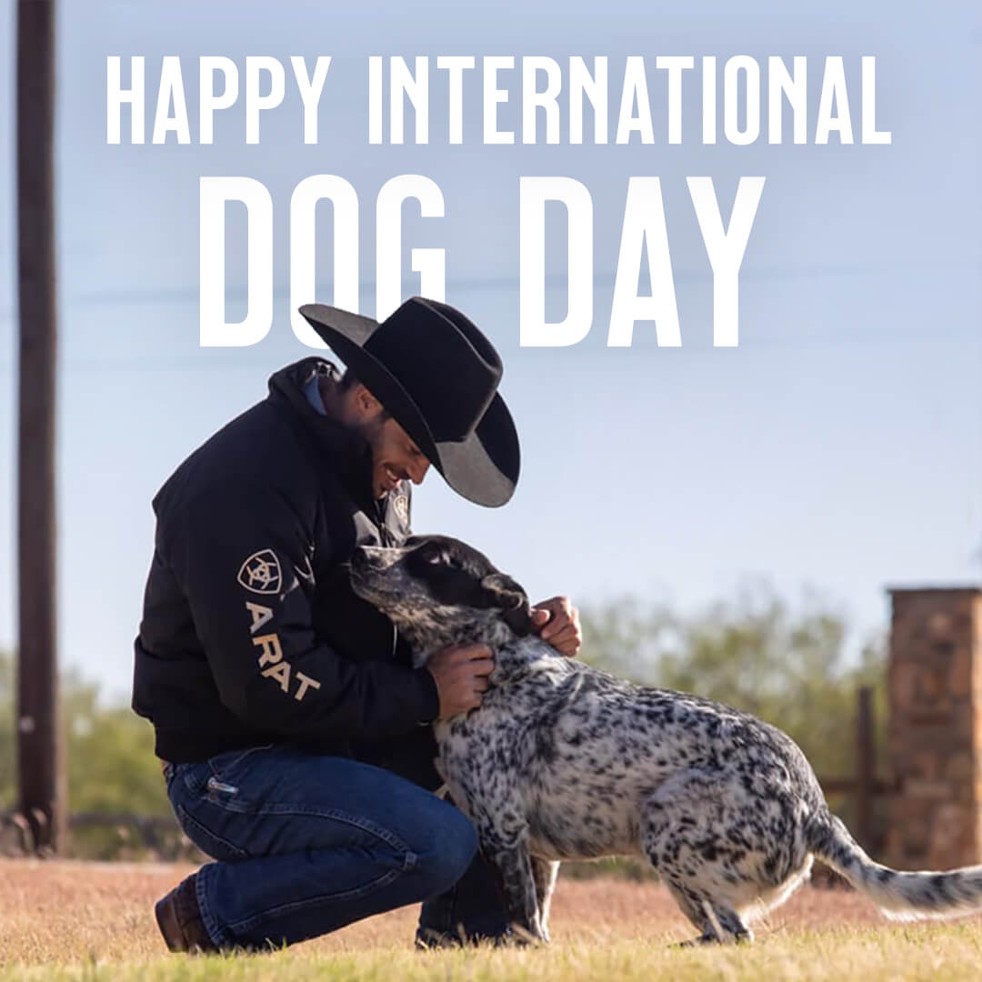 Ariat's tweet photo. Happy International Dog Day! Give your pups a treat (or few) and be sure to share a pic with us using #dogsofariat. https://t.co/q1sg8xIcMM