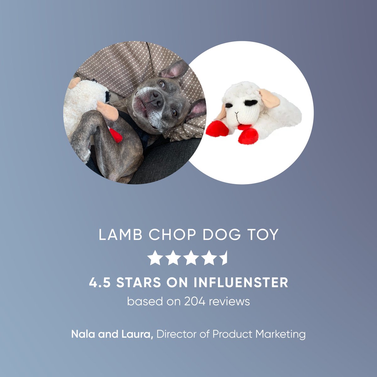 Influenster's tweet photo. And my dog…thank you to my dog! 🐶🙏🏻 Show your fur friend some appreciation this #NationalDogDay with toys, treats, and pampering thanks to some product recs from our Influenster employees! View more here: https://t.co/p63wcv8wj6

What kind of dog do you have? 🐾 https://t.co/03fuXB1O33