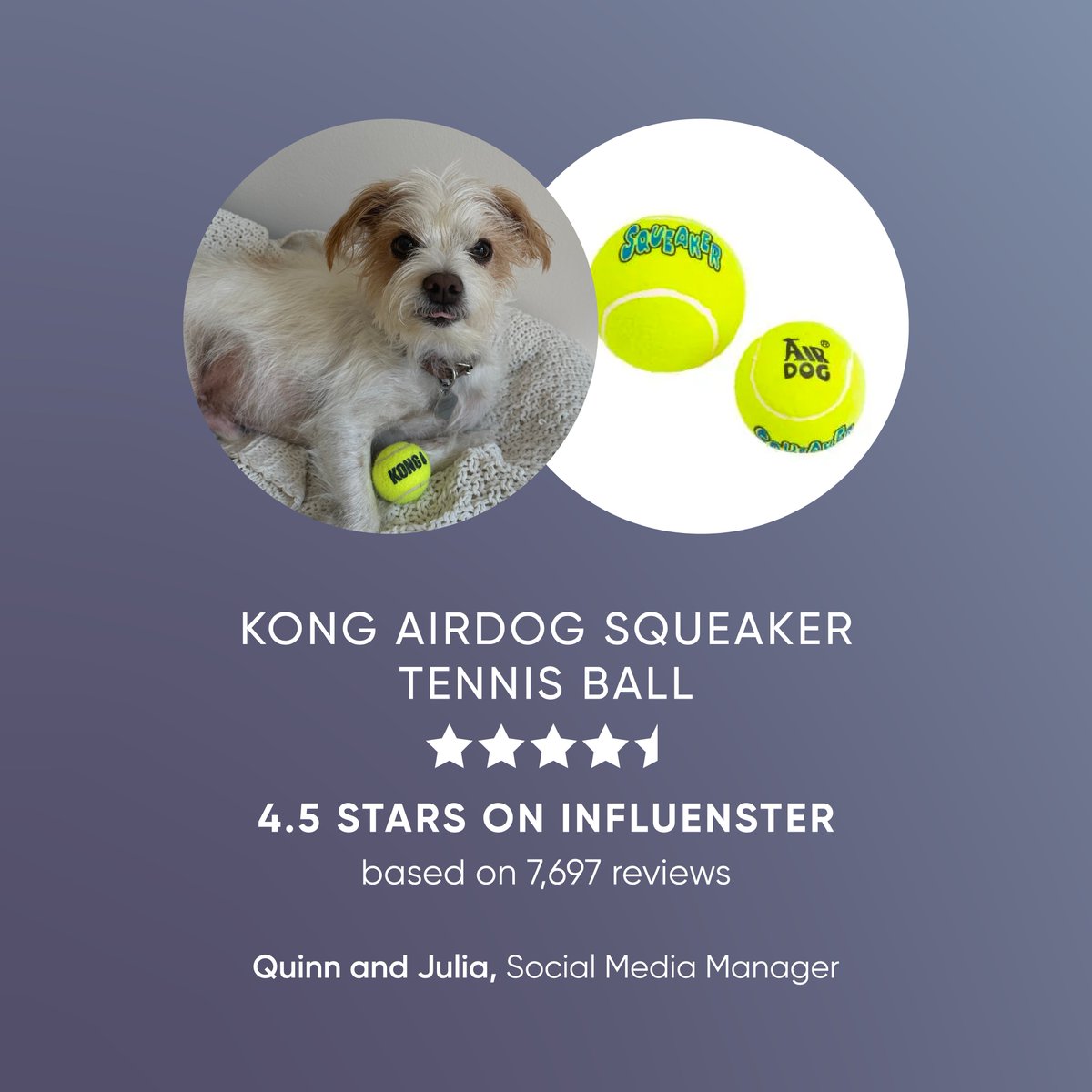 Influenster's tweet photo. And my dog…thank you to my dog! 🐶🙏🏻 Show your fur friend some appreciation this #NationalDogDay with toys, treats, and pampering thanks to some product recs from our Influenster employees! View more here: https://t.co/p63wcv8wj6

What kind of dog do you have? 🐾 https://t.co/03fuXB1O33